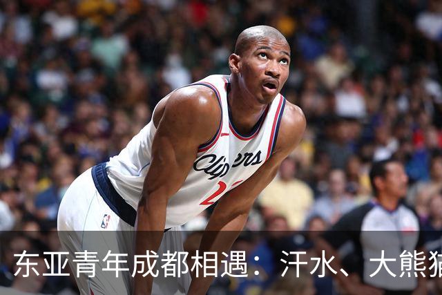 东亚青年成都相遇：汗水、大熊猫与友谊