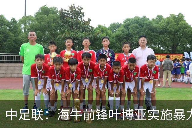 中足联：海牛前锋叶博亚实施暴力行为 停赛4场罚款4万