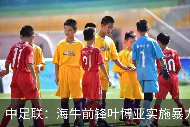 中足联：海牛前锋叶博亚实施暴力行为 停赛4场罚款4万
