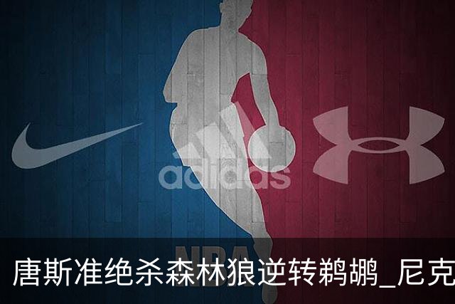 唐斯准绝杀森林狼逆转鹈鹕 尼克斯送黄蜂4连败