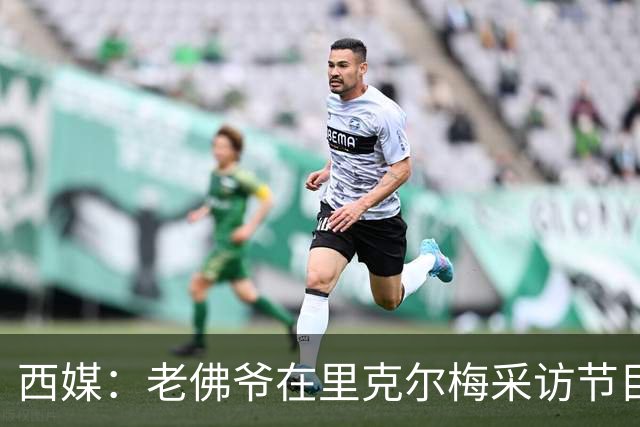 西媒：老佛爷在里克尔梅采访节目后播放竞选广告，堪称绝妙一招