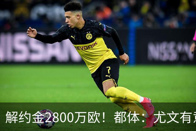解约金2800万欧！都体：尤文有意签下博洛尼亚后卫卢库米